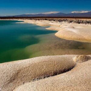 Laguna Cejar + Ojos del salar + Laguna Tebenquiche
